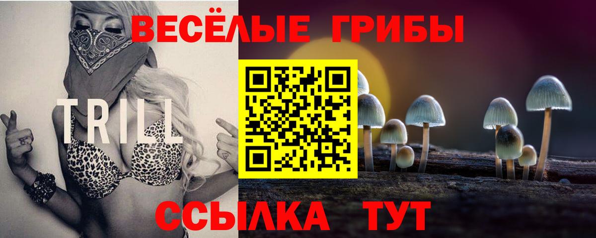 Галлюциногенные грибы GOLDEN TEACHER Фрязино